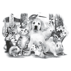 PET PARTY 13432SA6.gif